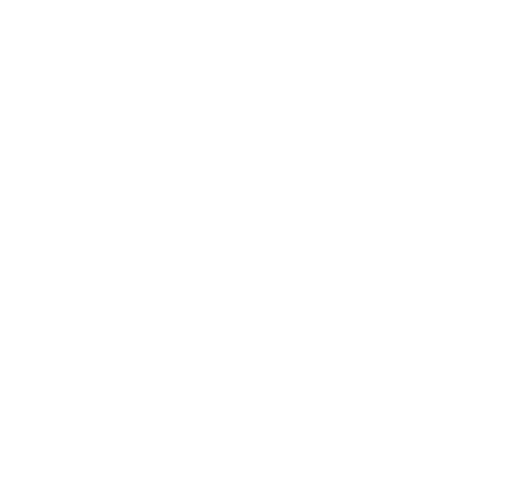 Gem Brands Enterprises